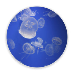 Obsessed with Jellyfish (Circle)
