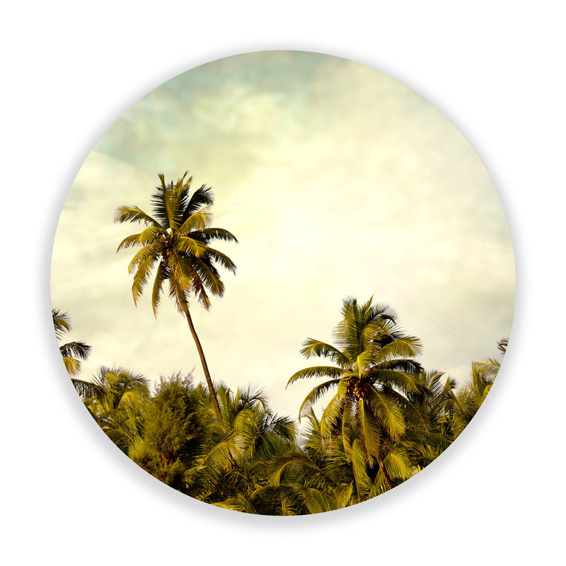 Palm Tree Supreme (Circle)