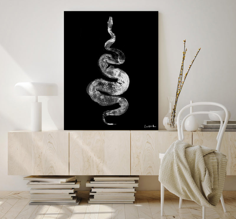 Python Gyotaku No. 01 (White Black) by Rudie Lee