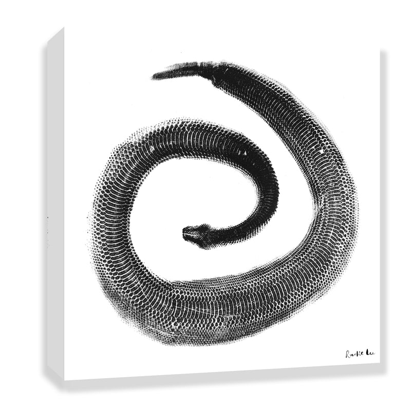 Python Gyotaku No. 02 (Minimalist) by Rudie Lee