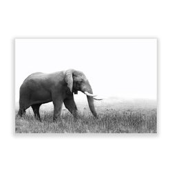 Roaming Elephant