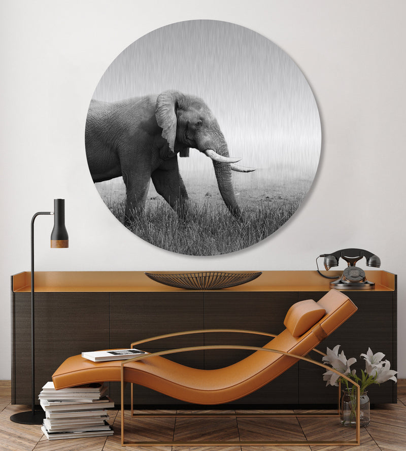 Roaming Elephant (Circle)