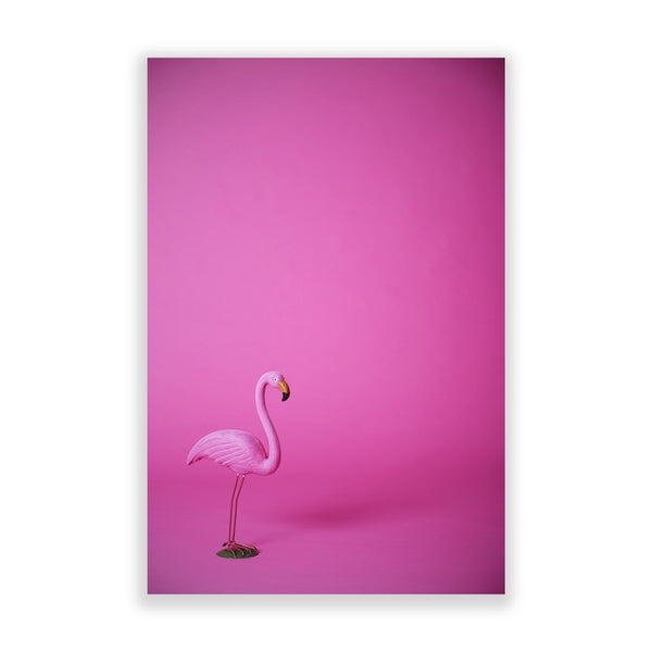 Silly Flamingo