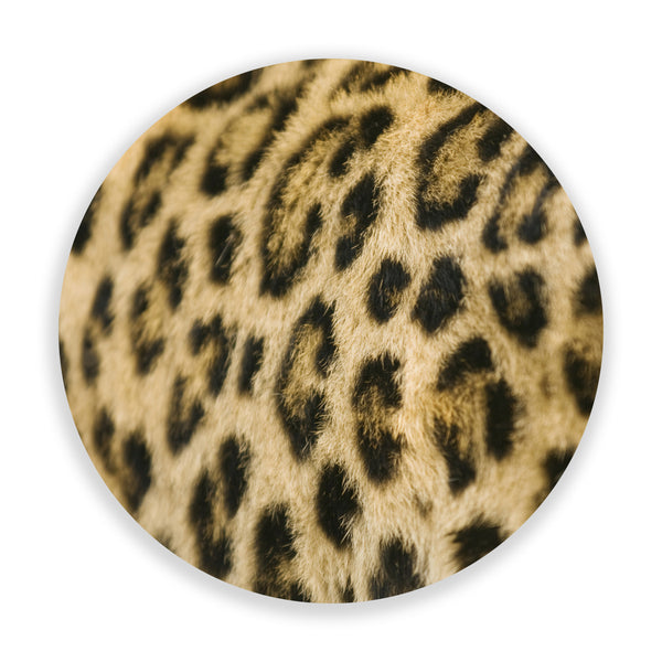 Supple Leopard (Circle)