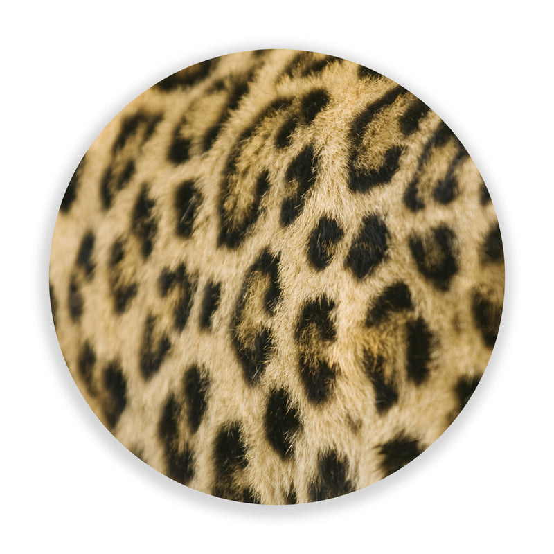 Supple Leopard (Circle)