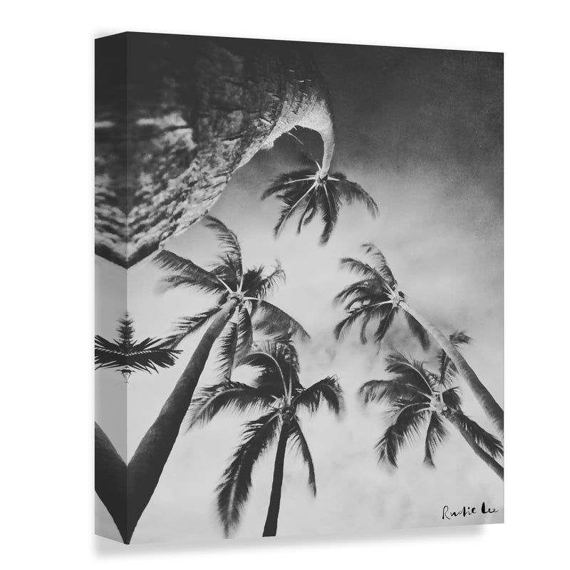 Swaying Palms (BW) by Rudie Lee