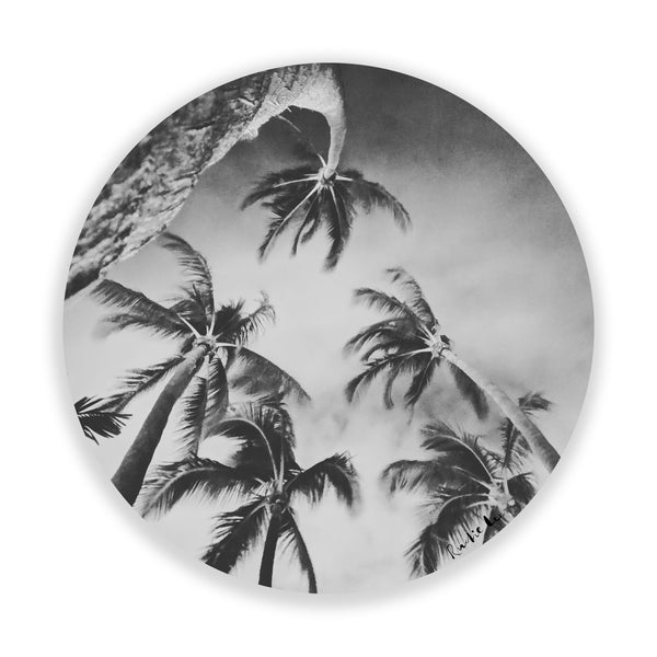 Swaying Palms (BW Circle) by Rudie Lee